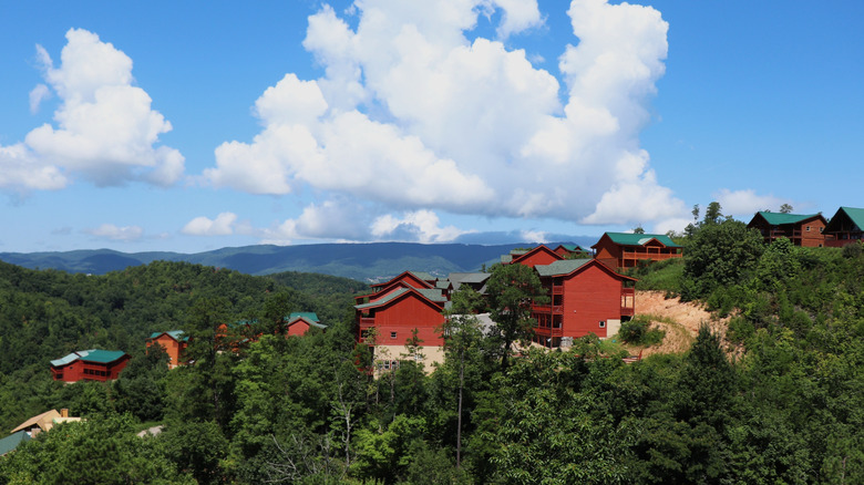 Red-roofed resort cabins on a hillside