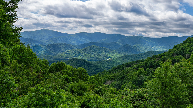View of the Roan Highlands from Chestnut Ridge Overlook in Roan Mountain State Park, Tennessee, with forest in the foreground and clouds above the peaks.