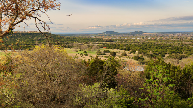 A scenic overlook of Texas Hill Country reveals a lush valley with patches of green fields and clusters of trees beginning to bloom.