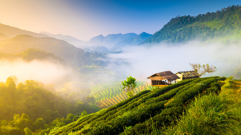 Small building overlooking rice fields and mountains in Thailand during a misty sunrise