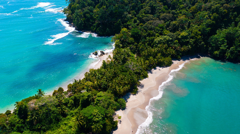 Aerial view of Costa Rica's Playa Manuel Antonio, with green trees, white sand, and turquoise water