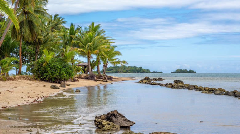 View of Vanua Levu island near Savusavu, Fiji with a grove of palm trees, rocks, and ocean water