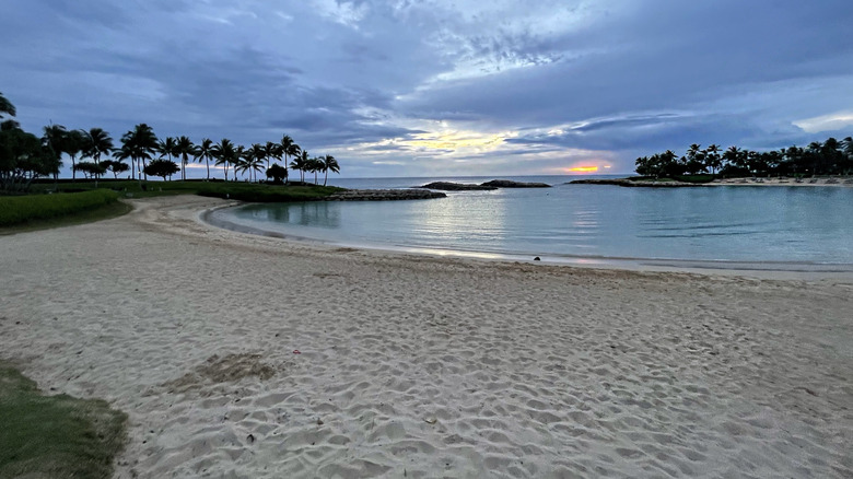 Beach in Oahu, Hawaii at sunset with palm trees silhouetted in the background