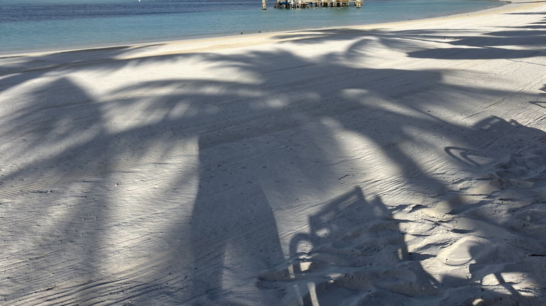 View of the beach at Disney's Castaway Cay, Bahamas, with Caribbean water on the left and white sand with palm tree shadows on the right