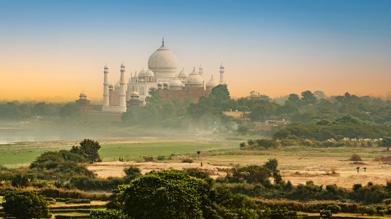 View of the Taj Mahal at sunrise through fog with lush foliage in the foreground