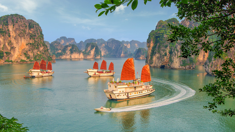 Three cream-colored boats with orange sails cruising through the limestone karsts in Ha Long Bay