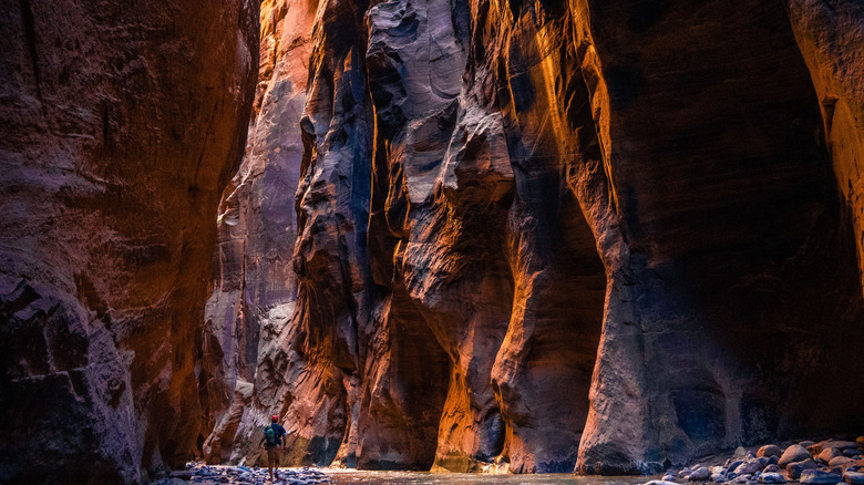A hiker enjoying the view of The Narrows rugged walls in Zion canyon, in the Zion National Park