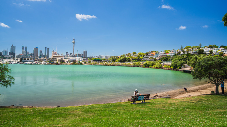 A sea view of Auckland, New Zealand