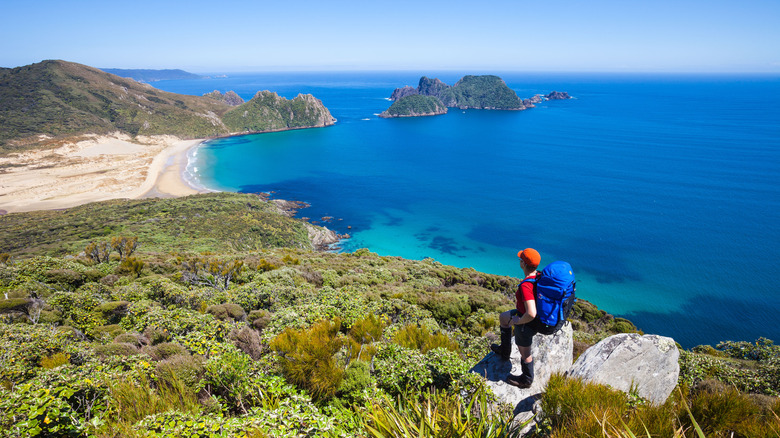 A hiker takes on Stewart Island, Rakiura