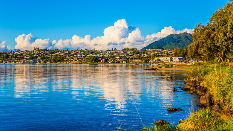 View of Lake Taupo
