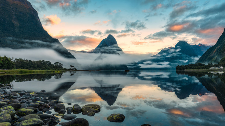 A landscape shot of Te Wahipounamu or Milford Sound in New Zealand