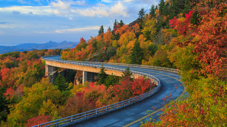 Blue Ridge Parkway during autumn