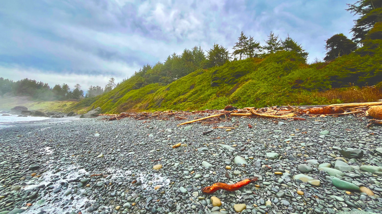Pebbles line the shore on Hidden Beach near Klamath, California