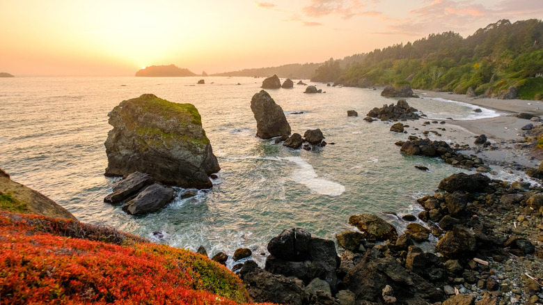 Sunset at Luffenholtz Beach near Trinidad, California