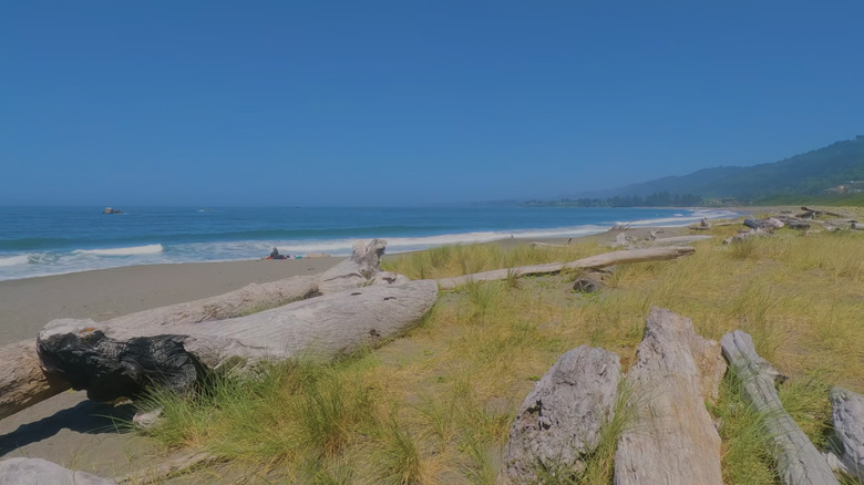 A view north toward Oregon from Pelican State Beach in Northern California