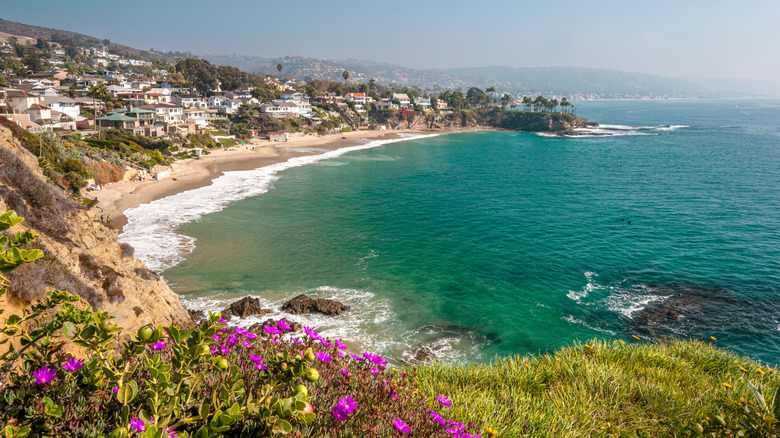 Shaw's Cove in Laguna Beach