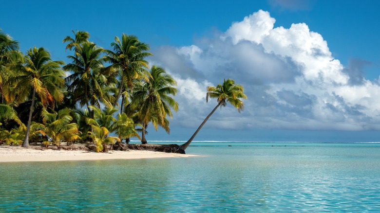 Beach lined with palm trees on One Foot Island, Cook Islands