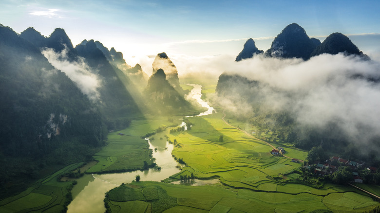 Rice field and river in rural Vietnam at sunset