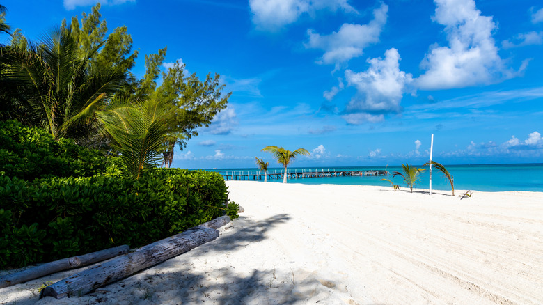 Isla Pasion (Passion Island) on a sunny day with a pier stretching out into blue seas.