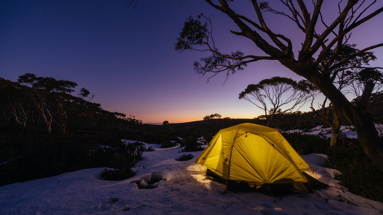 A yellow tent is lit up under a night sky in the Australian Outback