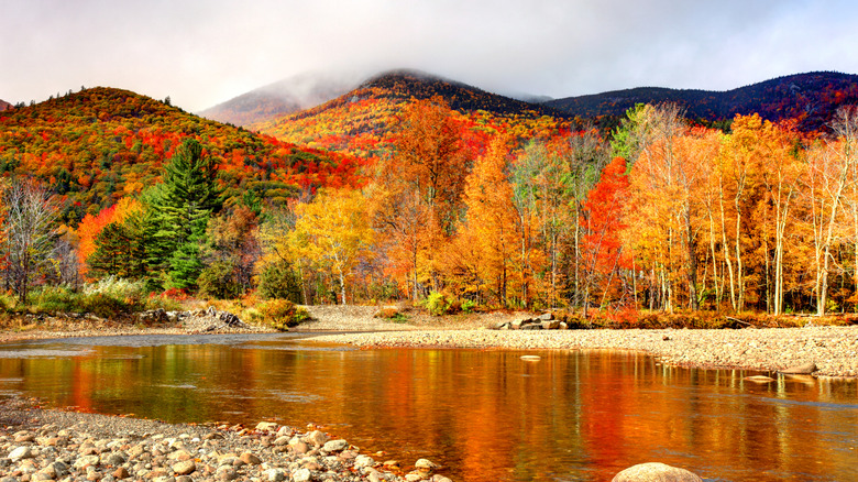 Peak autumn foliage in the Adirondacks region of New York.