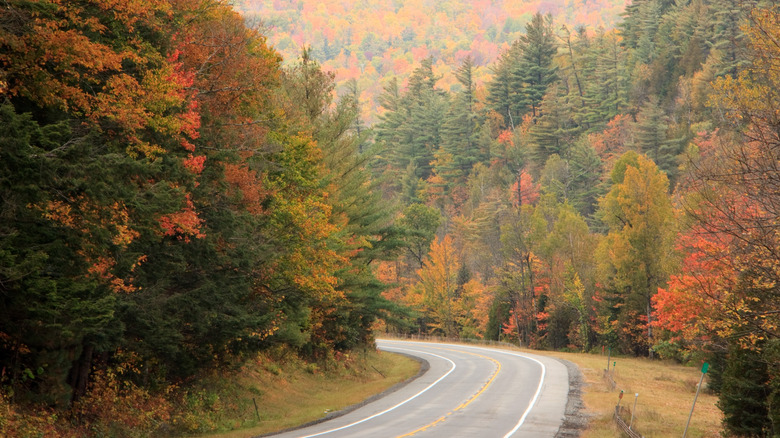 Driving through an autumn forest in the Adirondack Mountains in upstate New York