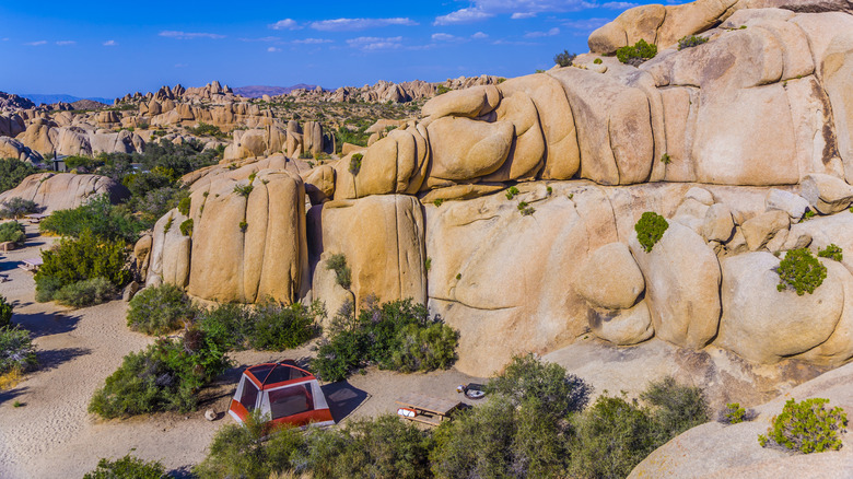 Large tent near a picnic table set up in Joshua Tree National Park