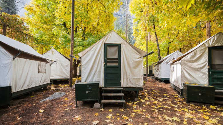 Tent cabins surrounded by autumn leaves in Yosemite National Park