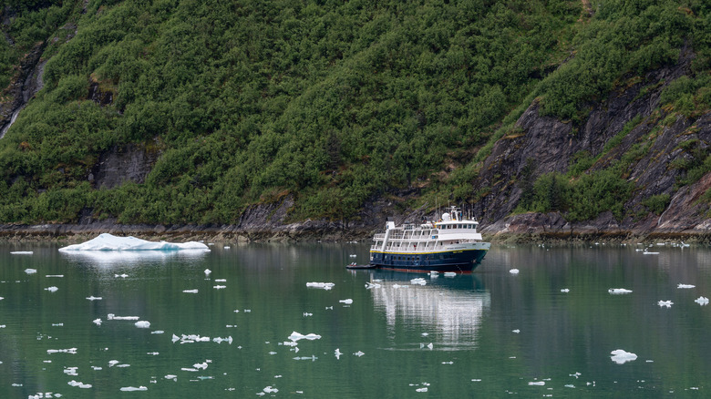 National Geographic Cruise ship on an Alaskan fjord surrounded by icebergs, reflected in the ocean