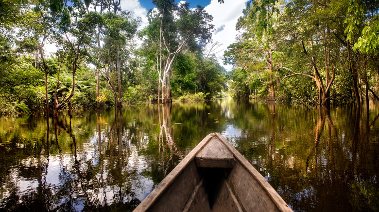 Wood canoe cruising down a tributary of the Amazon River in Colombia surrounded by jungle