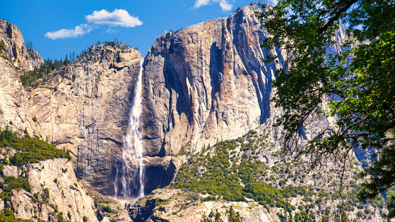 Yosemite Falls in Yosemite National Park
