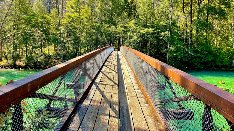 Bridge on the Trail of the Cedars nature walk in North Cascades National Park
