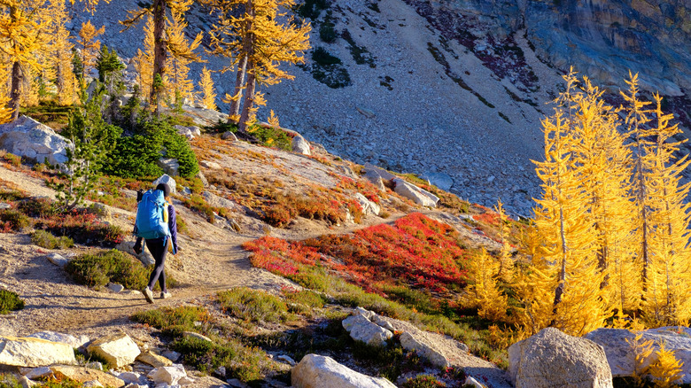 A woman hikes around the Pacific Northwest Trail in North Cascades National Park
