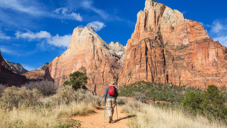 A hiker on a trail in Zion National Park