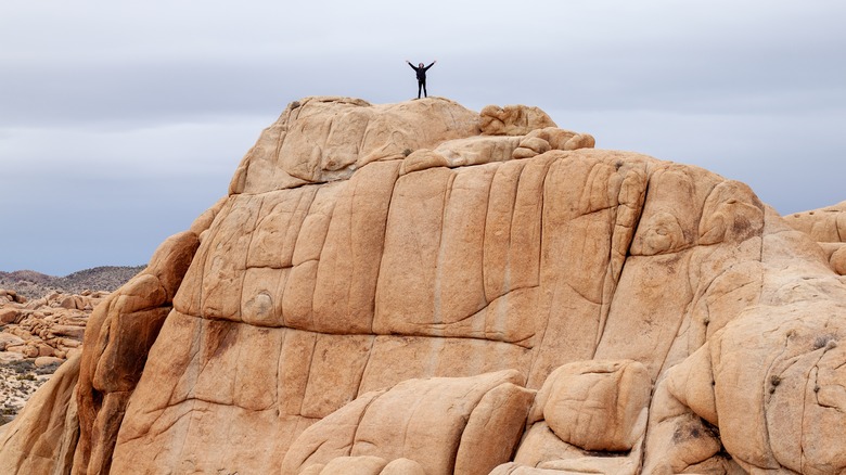 A hiker stands atop a huge rock at Joshua Tree National Park in winter