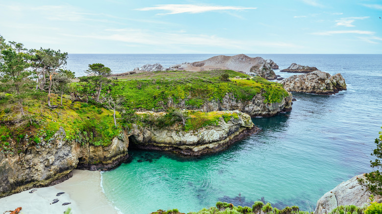 Aerial view of beach and cliffs at Point Lobos State Natural Reserve, California