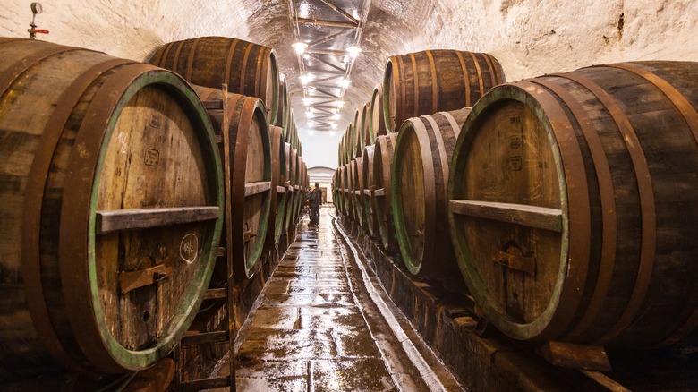Underground cave lined with wooden barrels in Plžen
