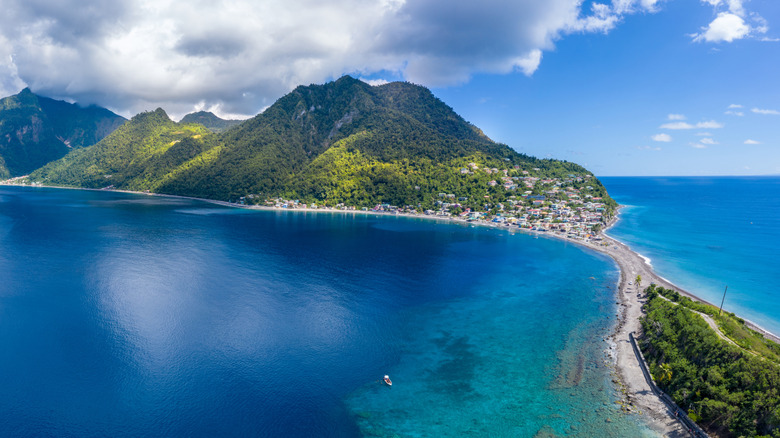 Aerial view of Dominica coast, lush mountains, and village at Scotts Head on a clear day.