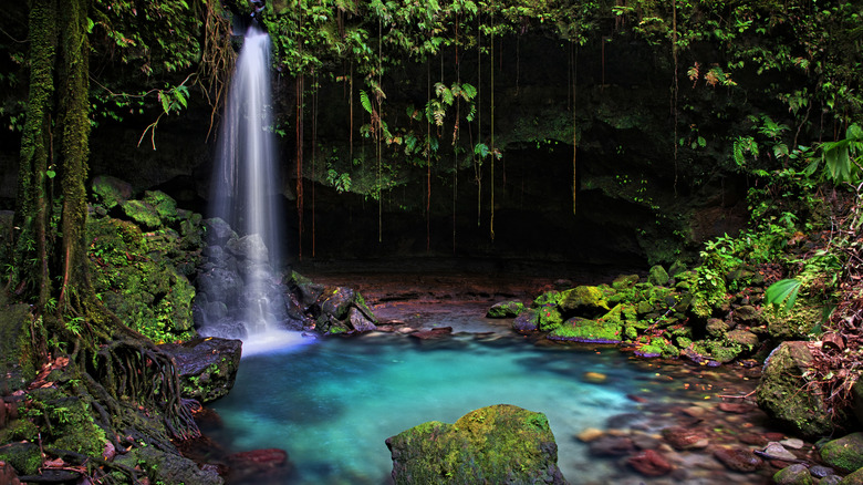 Waterfall cascades into a turquoise pool in the lush jungle of Dominica