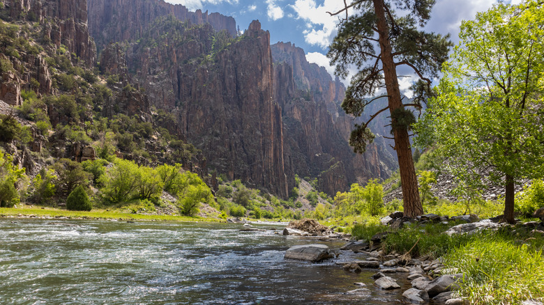 A view from inside Black Canyon of the Gunnison National Park in Colorado by the river, at the bottom of the canyon
