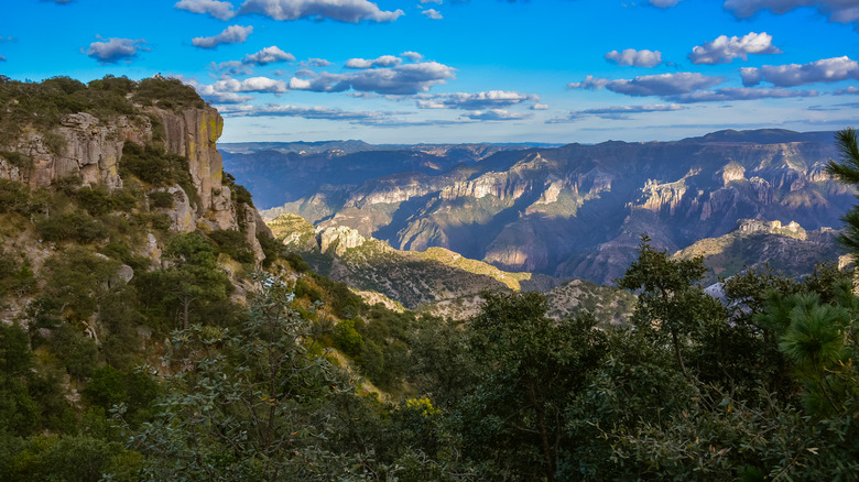 The steep canyon walls of Mexico's lush Copper Canyon on a partially cloudy day.