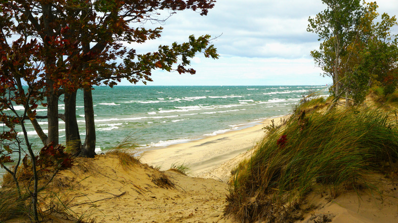 Saugatuck Dunes State Park, Michigan