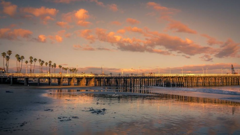 A view of the Santa Cruz wharf at sunset with tall palm trees in the background