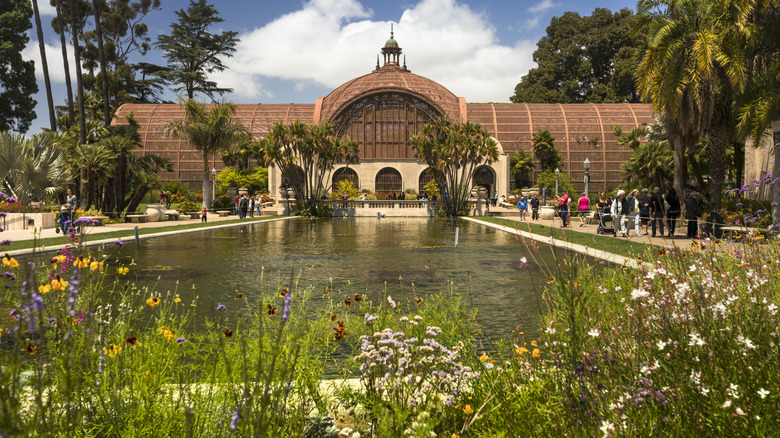 Flowers surround a pond in front of the Balboa Park Botanical Building on a sunny day