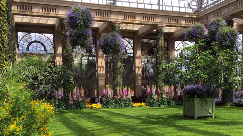 Interior of the Longwood Gardens conservatory with blooming flowers