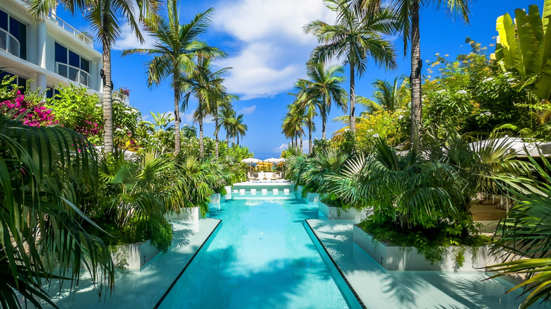 View of the pool at Palm Heights on Grand Cayman