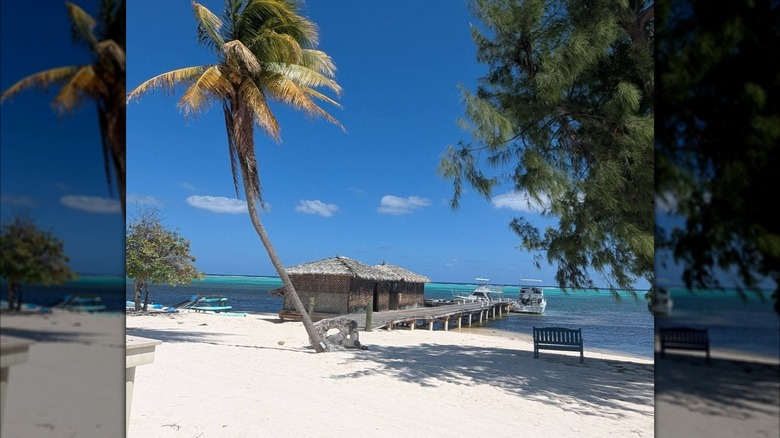 View of the pier and beach at The Southern Cross Club