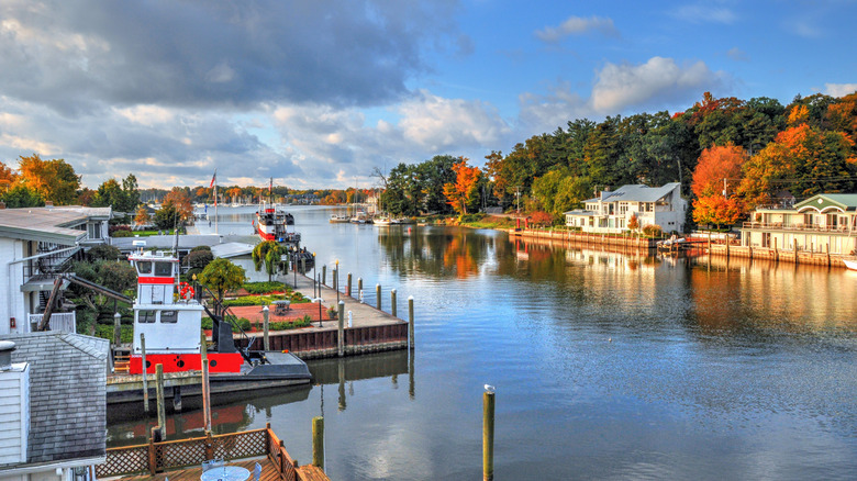 Autumnal trees and boats docked in the water in Saugatuck, Michigan