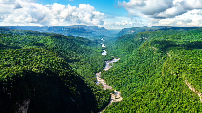 Aerial view of a river cutting through the jungles of Guyana, a Caribbean island in South America