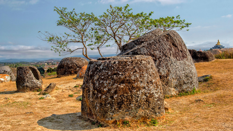 Giant stone jars in a field near a tree in Laos